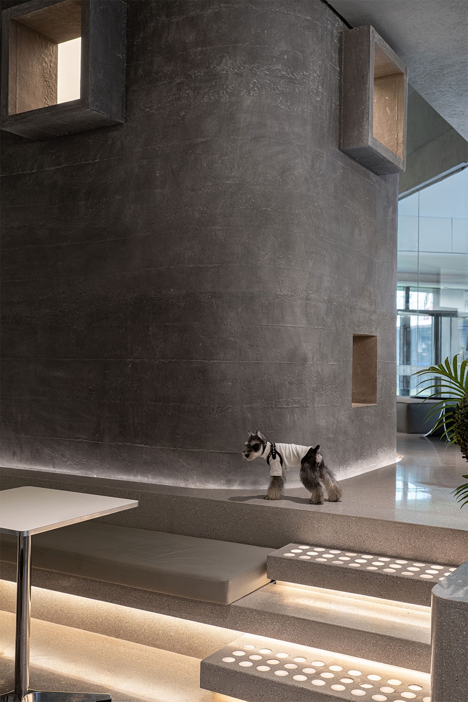 TWO TAILMATES小狗客厅丨中国武汉丨本样设计-33