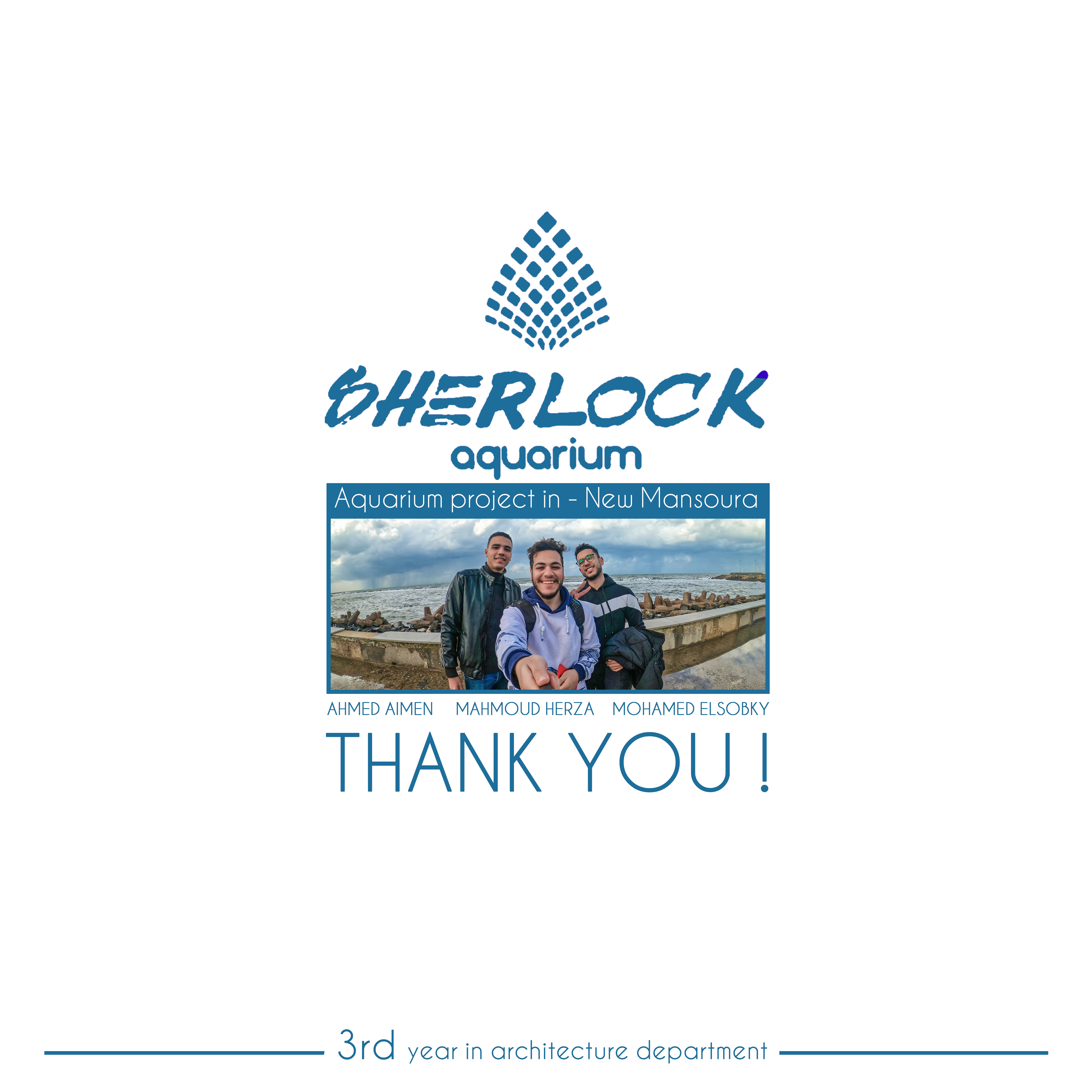 Sherlock | Aquarium Project-24