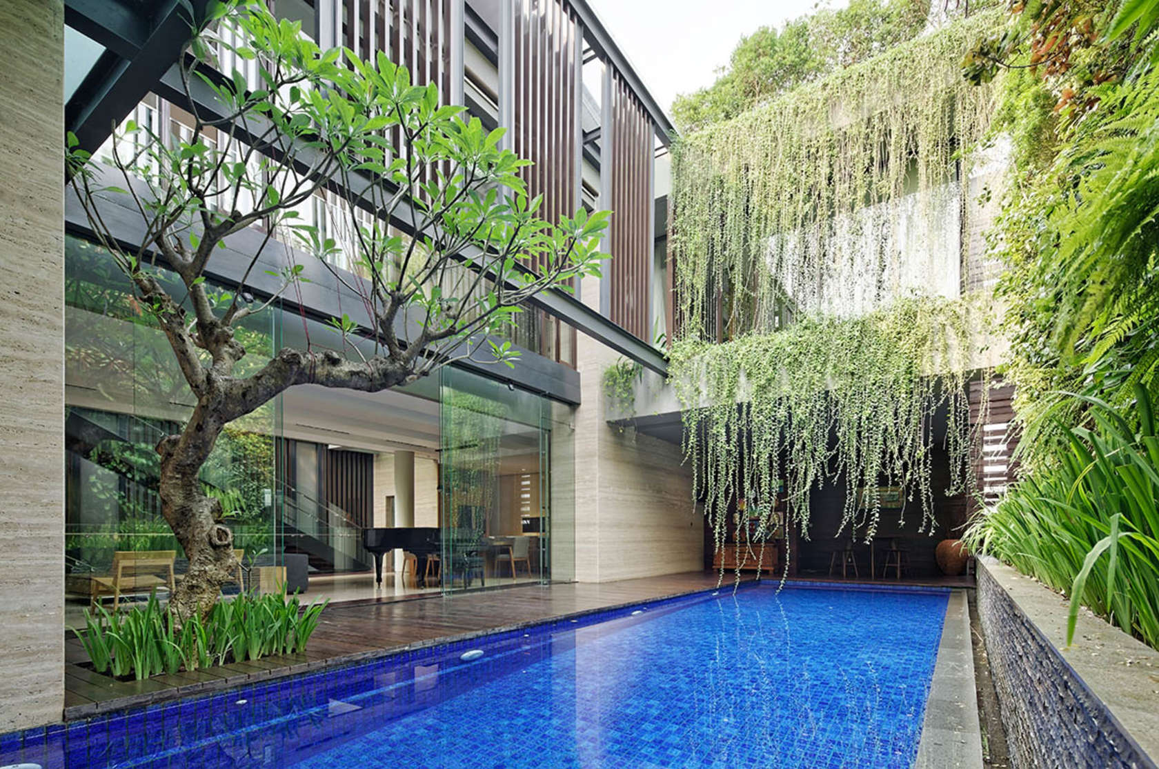 本屋南雅加达，印度尼西亚-7