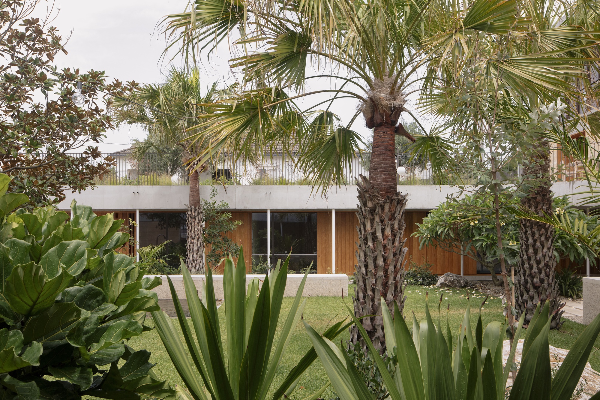 丨澳大利亚纽卡斯尔丨Anthony St John Parsons-26