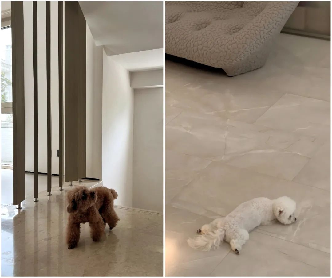 上海虹桥高尔夫363㎡老宅翻新丨中国上海丨ARCHSAM叙室,无垠设计研究室-47