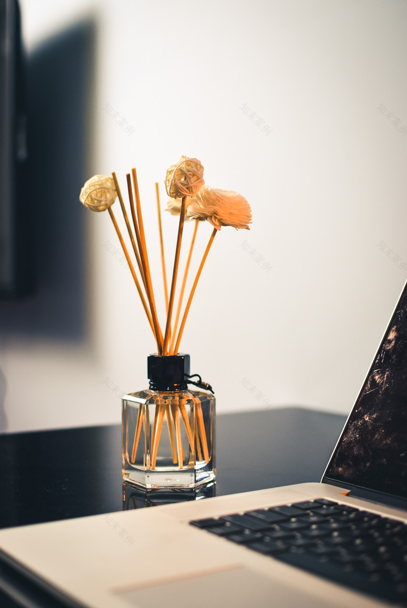 时尚女“杀”手家的波普艺术-35