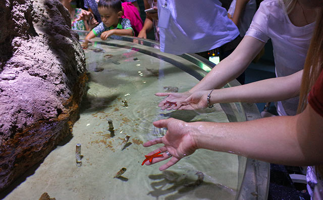 莫斯科海洋与生物中心“莫斯科水族馆”丨俄罗斯莫斯科丨Aqua Logo Engineering（暂译:水标工程公司）-14