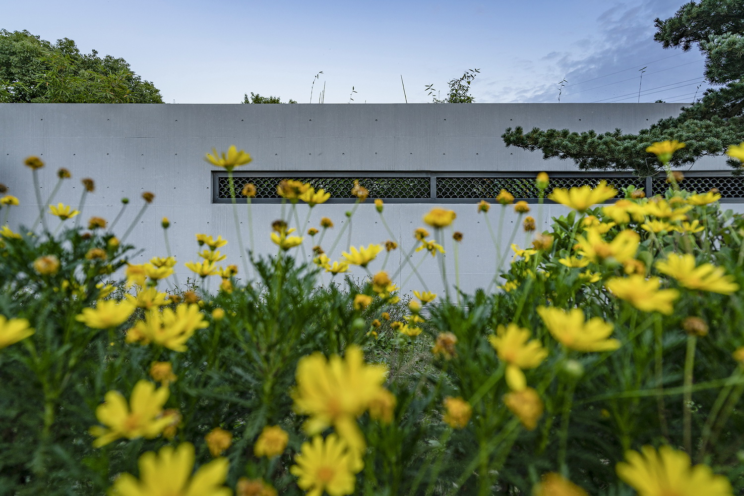 上海浦东金桥镇永建路小公园丨中国浦东新区丨上海善祥建筑设计有限公司-135