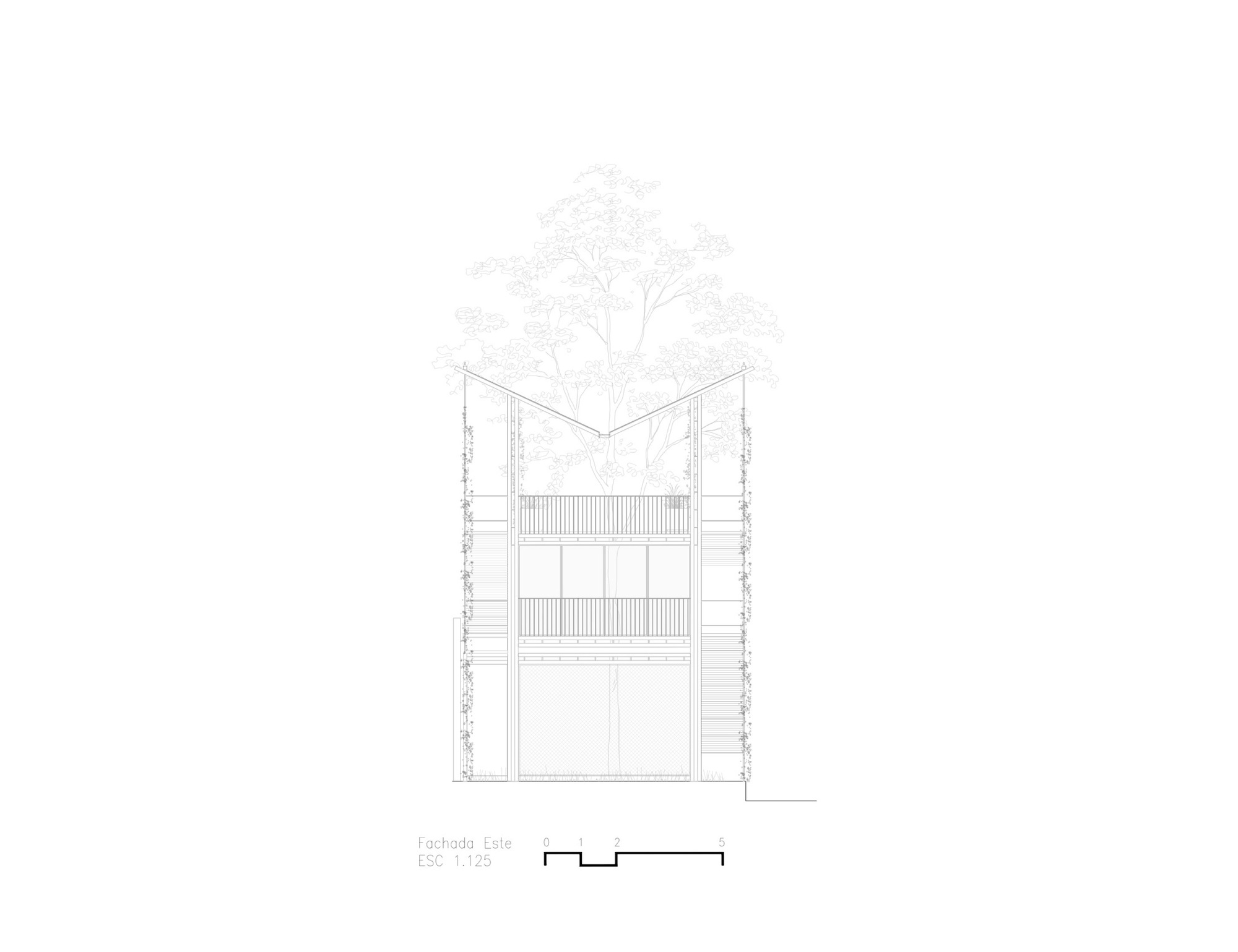 Cuicuilco 社区中心丨墨西哥墨西哥城-35