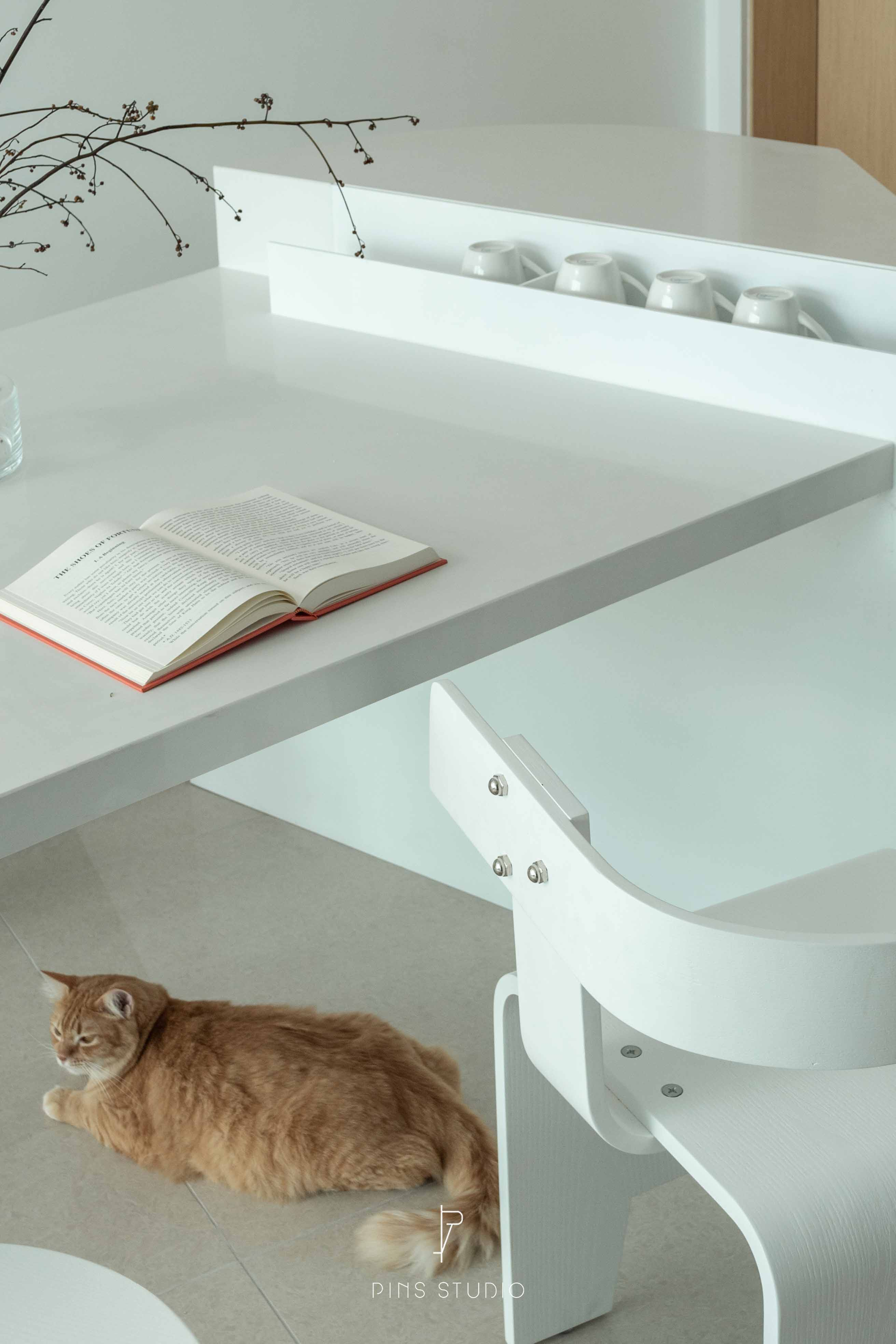 猫公寓 | Pins Studio | 2023 | 马来西亚-7