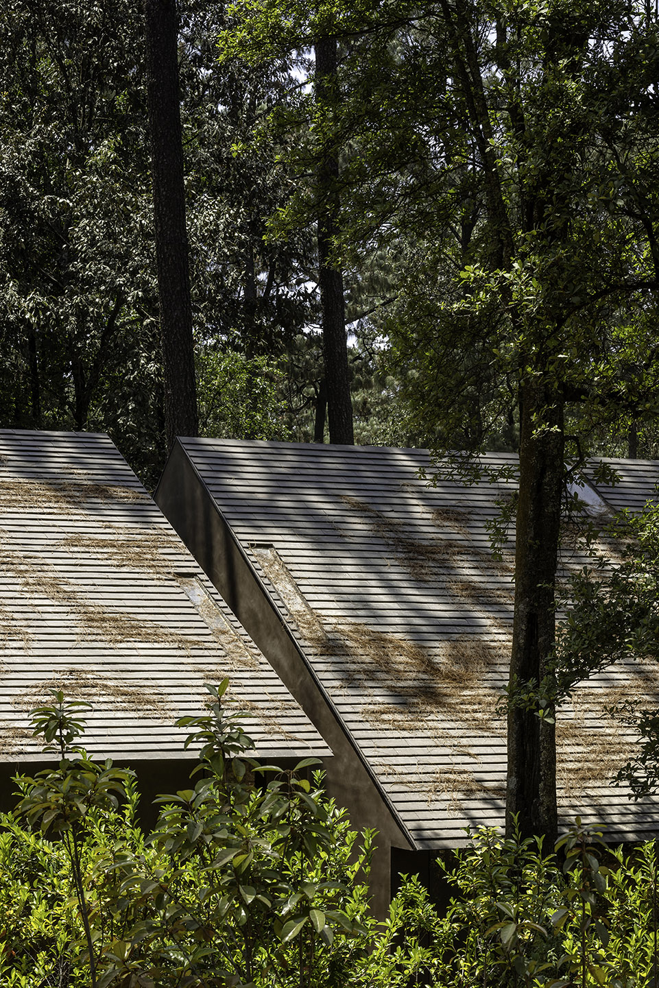 墨西哥 Zarzales 度假住宅丨PPAA-12