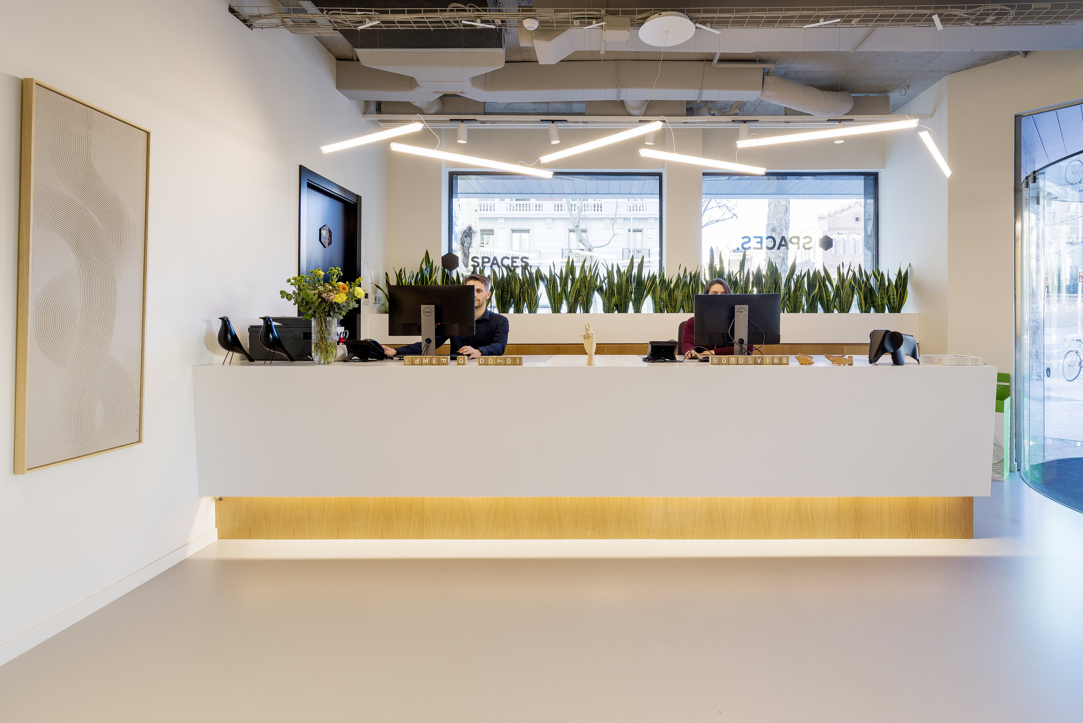 Fotografías para Spaces-1