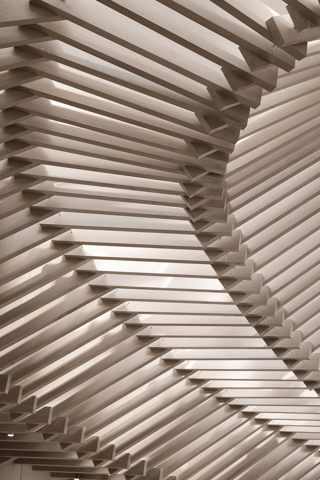 融创普洱国际健康城丨中国普洱-90