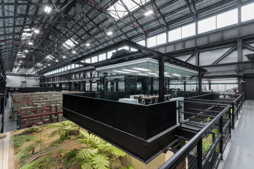 “最硬核”的办公空间改造,废弃海军造船厂中长出了一座封闭森林!-12