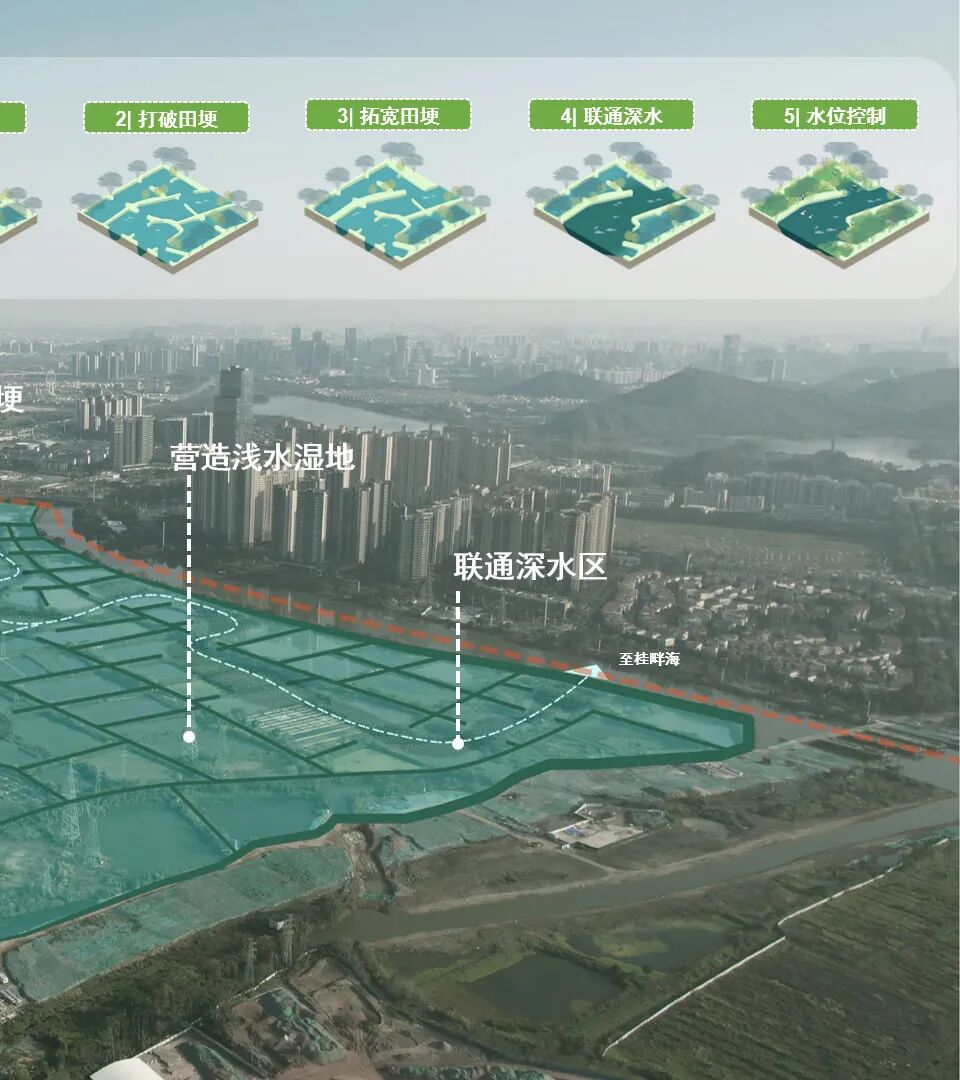 顺德鹭鸟湿地片区景观规划丨中国佛山丨AECOM-21