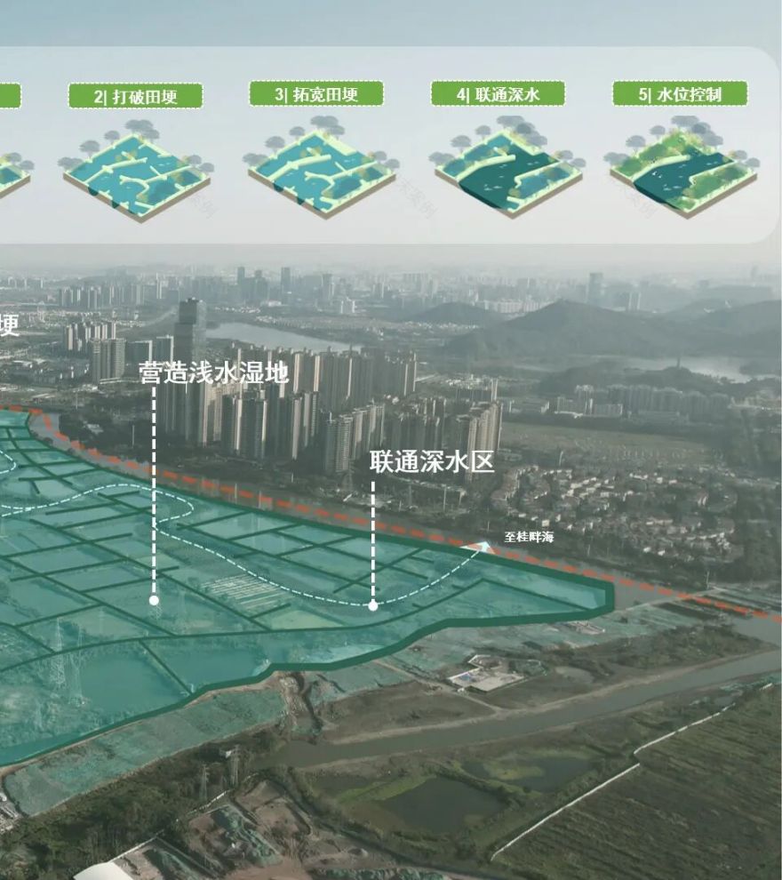 顺德鹭鸟湿地片区景观规划丨中国佛山丨AECOM-21