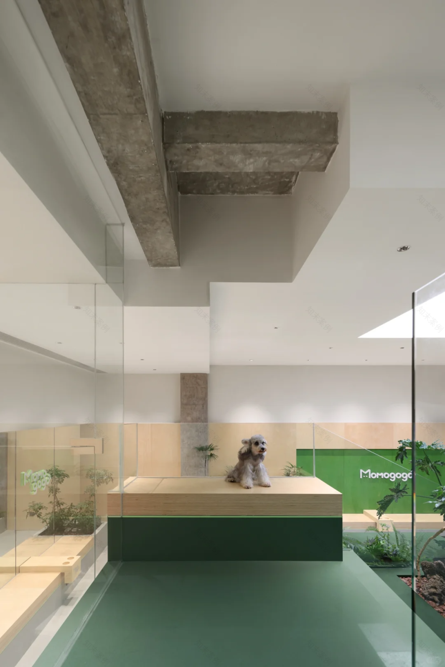 海南▶Momogogo人宠都市绿洲——毛孩子的友好综合空间-22