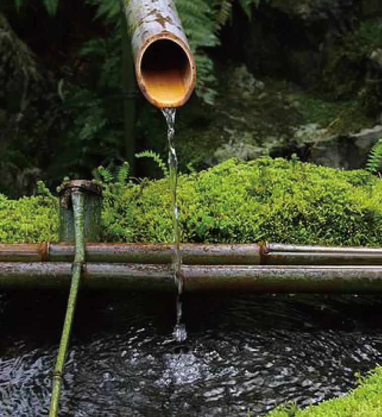 日本坪庭设计 | 微缩自然,打造静谧空间-19