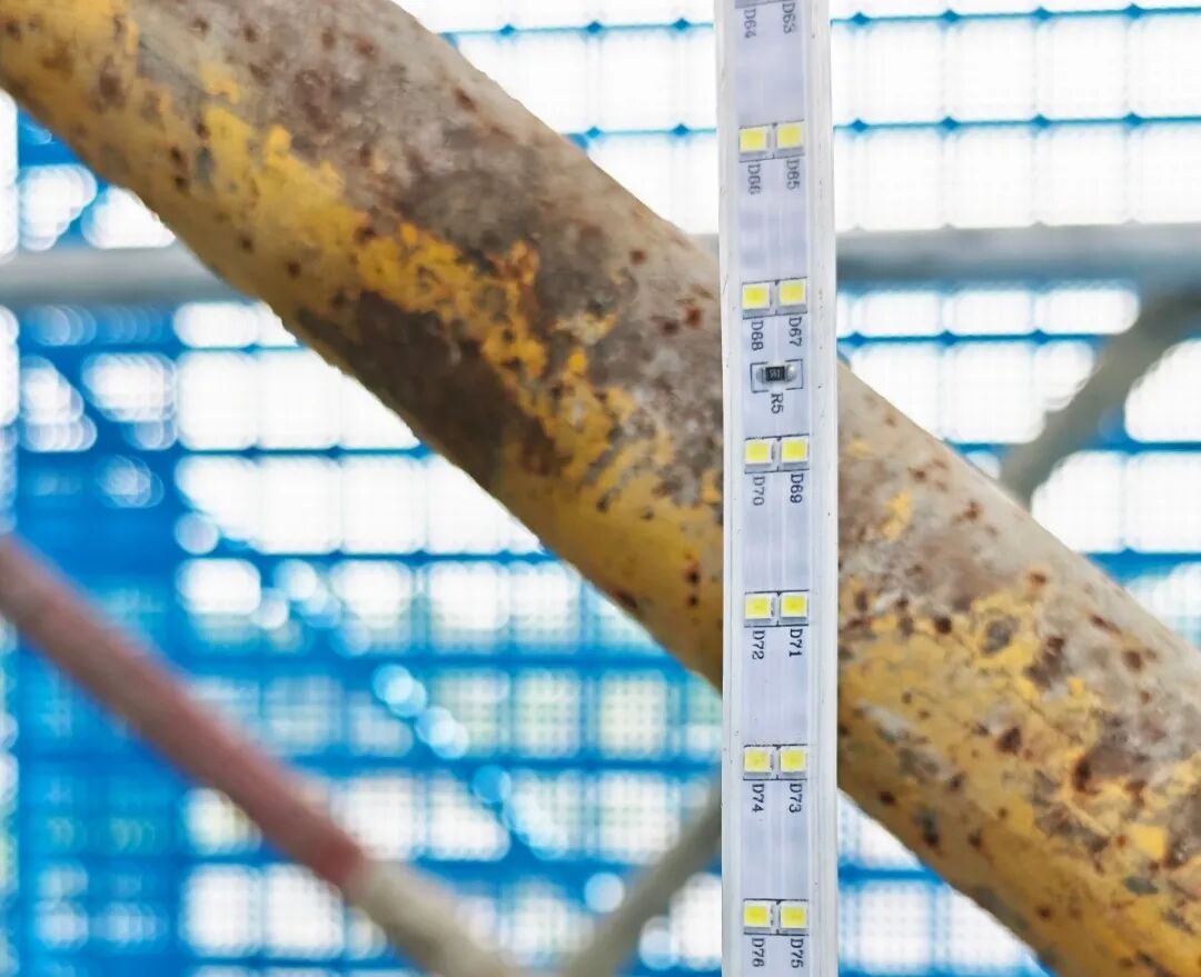 凤凰山体育公园片区小学建设项目加快推进ing-20