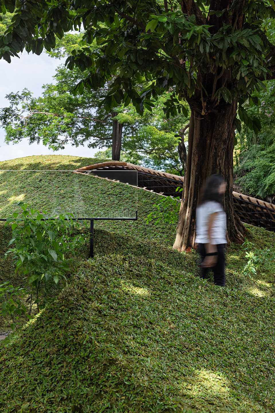 Chicken Hero 亭丨印度尼西亚雅加达丨RAD+ar-11