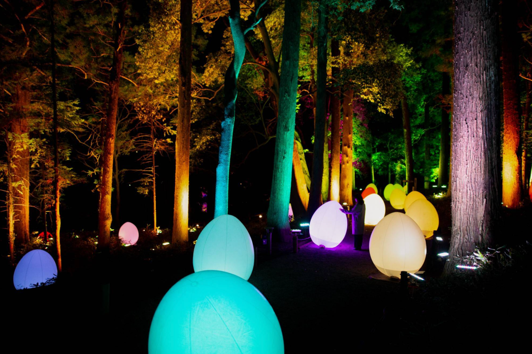 teamLab偕乐园光之祭丨日本-20