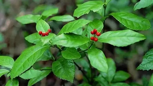 《Science》公布的 125 个最具挑战性的科学问题,你感兴趣的是哪个?-212