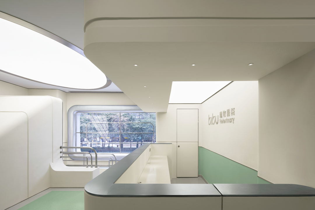 bibu宠物店丨中国广州丨今朝风日好ofD-39