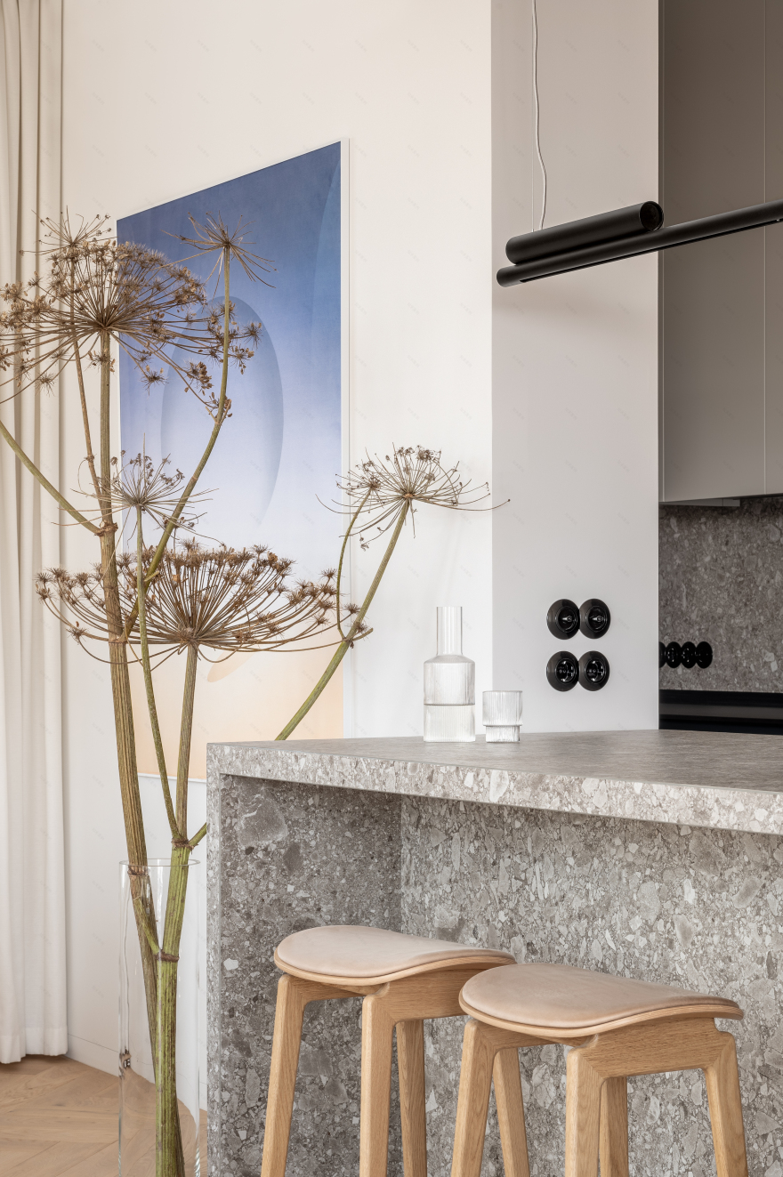 A52公寓丨乌克兰基辅丨Nadiia Chabanna-22