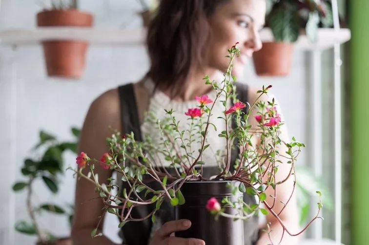 与自然共生 | 一个被植物包围的家-28