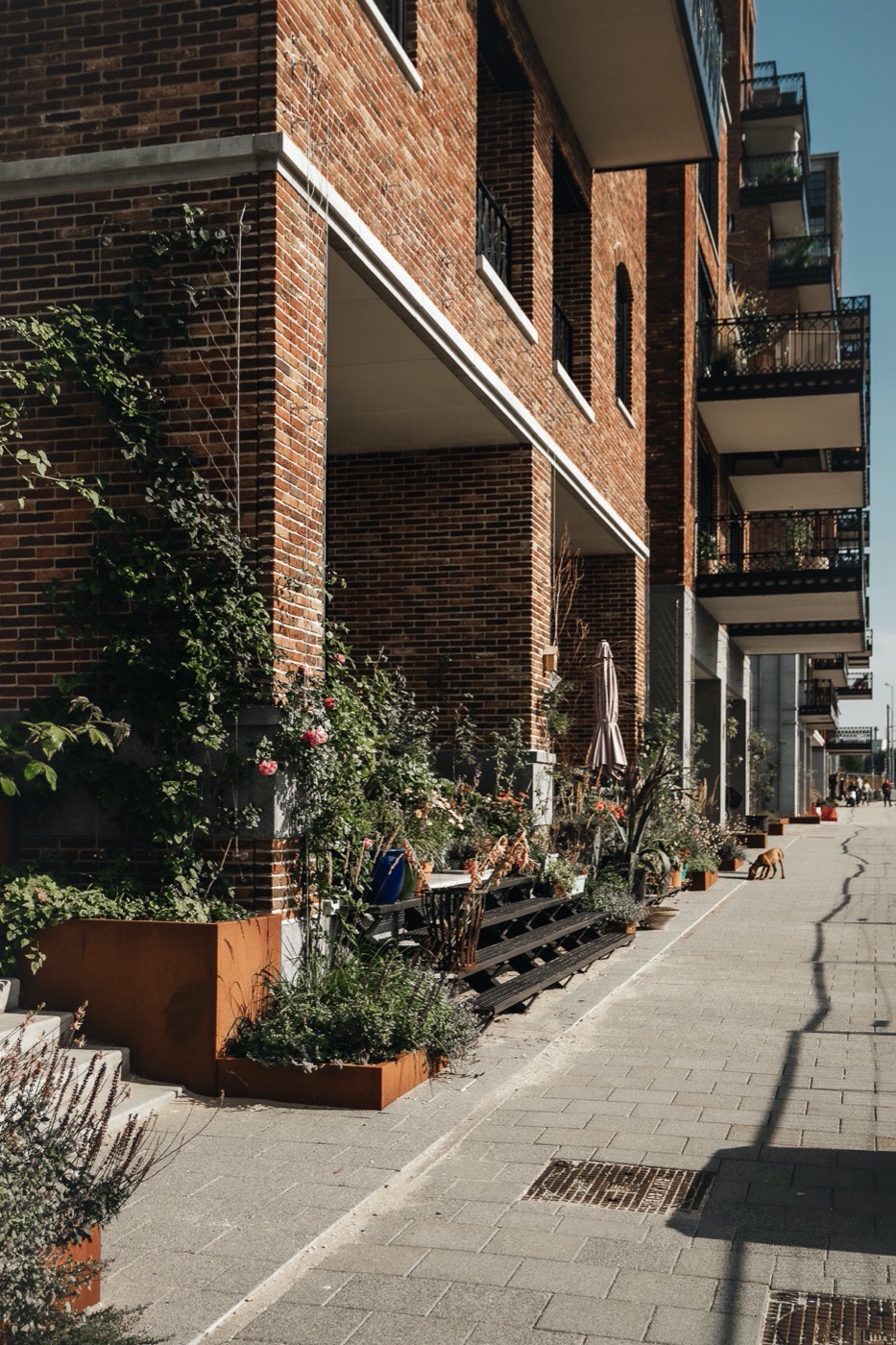 绿意盎然的小 C · Rotterdam 城市新地标丨荷兰鹿特丹-15