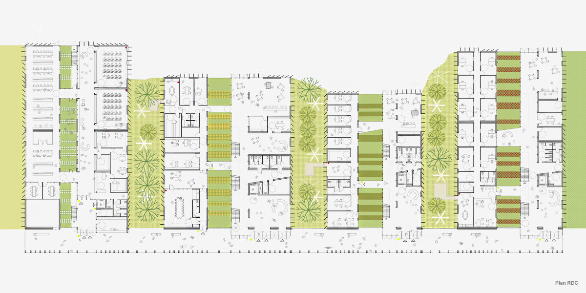 Pôle universitaire de santé en zone sismique - CoCo architectureCoCo architecture-9