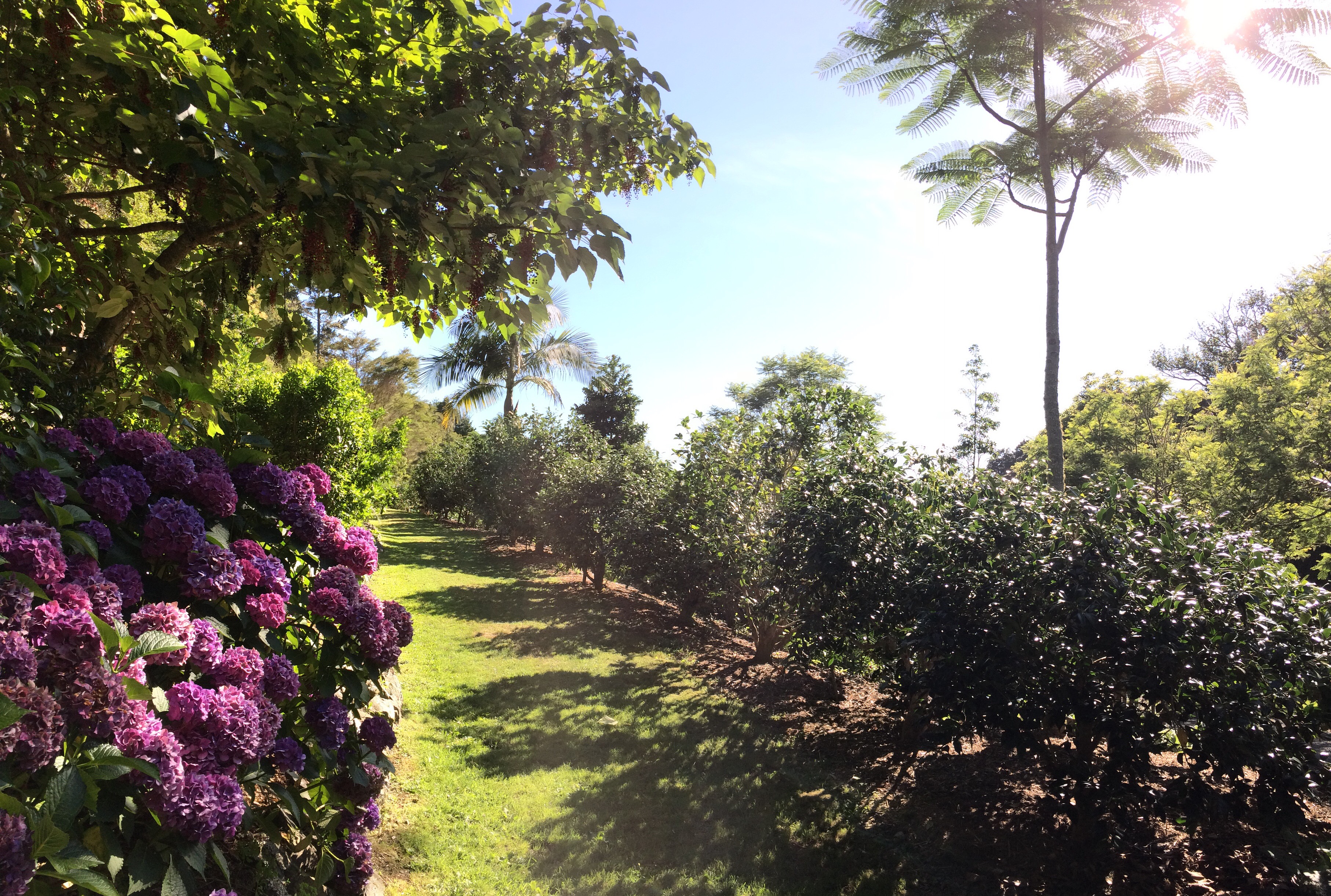 丨无相关信息-9