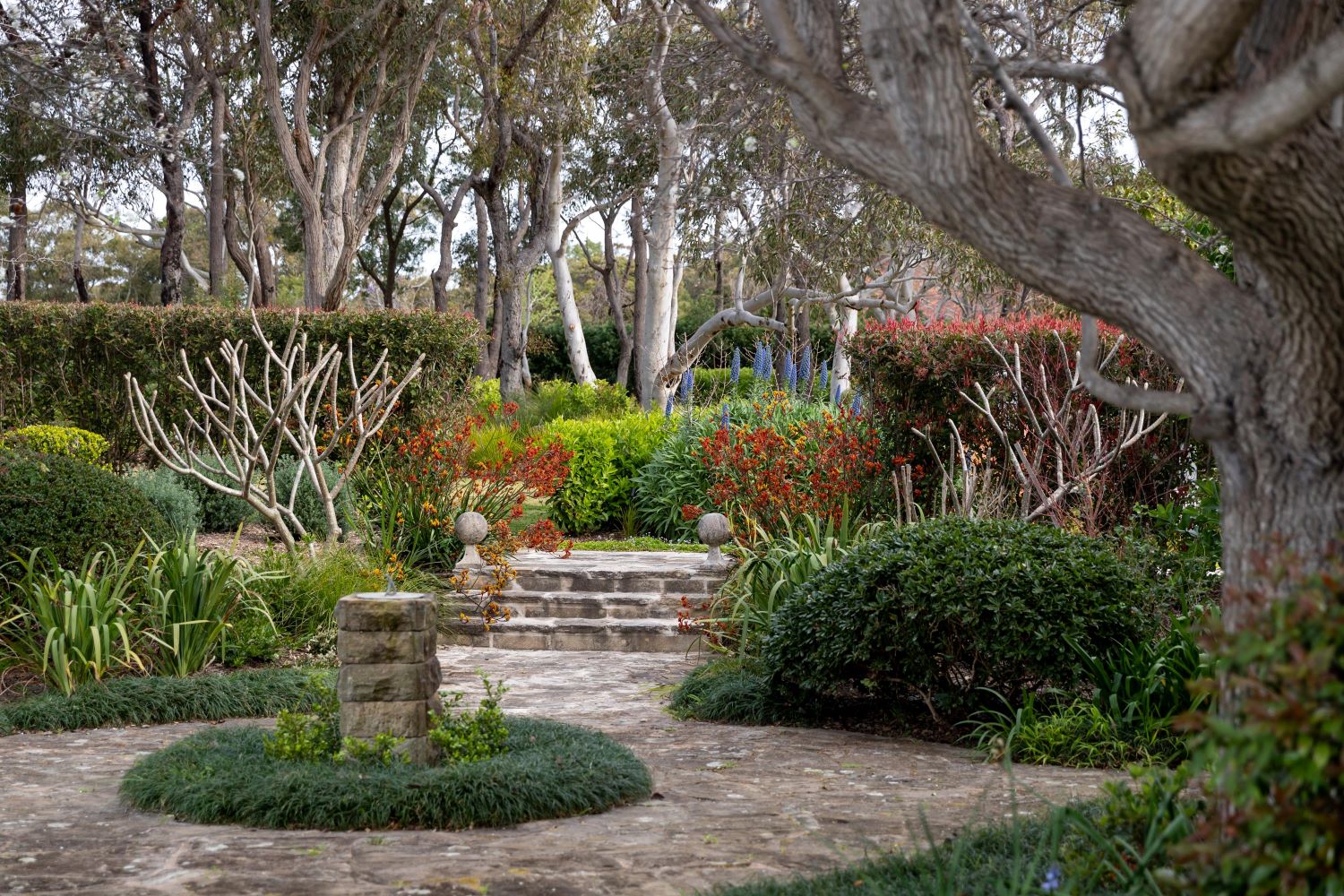 Luxury Landscape Design Sydney Custom Homes Sydney-14