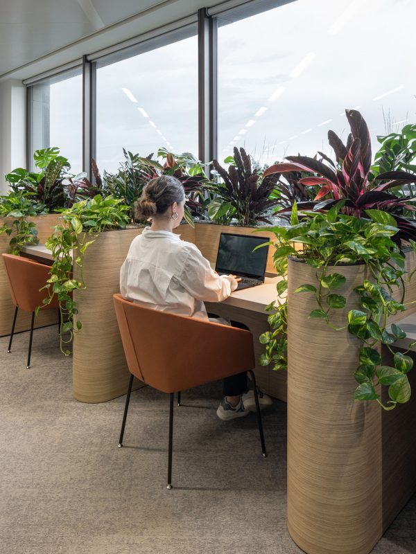 神经认知美学对办公场所设计的影响 -9