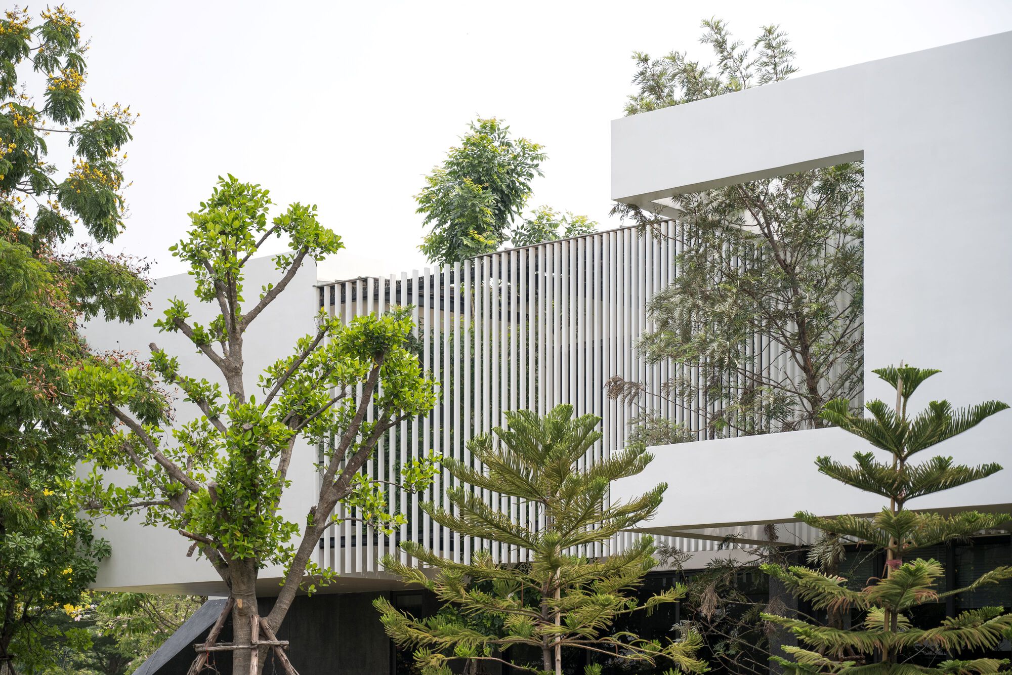 希尔之家丨泰国丨HAA Studio-6