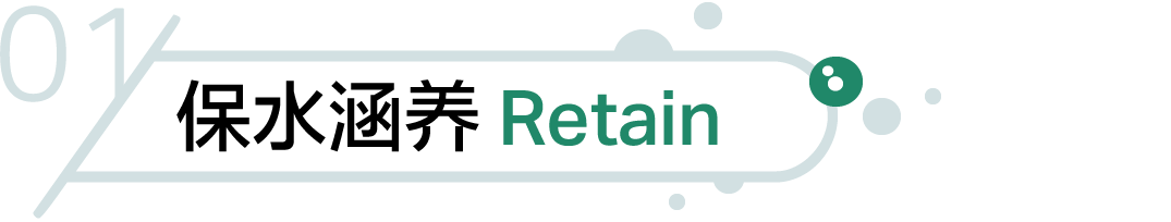 上海碧云绿地丨中国上海丨AECOM-15