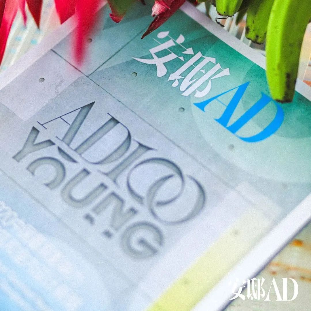 方居建筑荣膺“安邸 AD100 YOUNG”,私宅改造展现蓬勃设计潜力-7