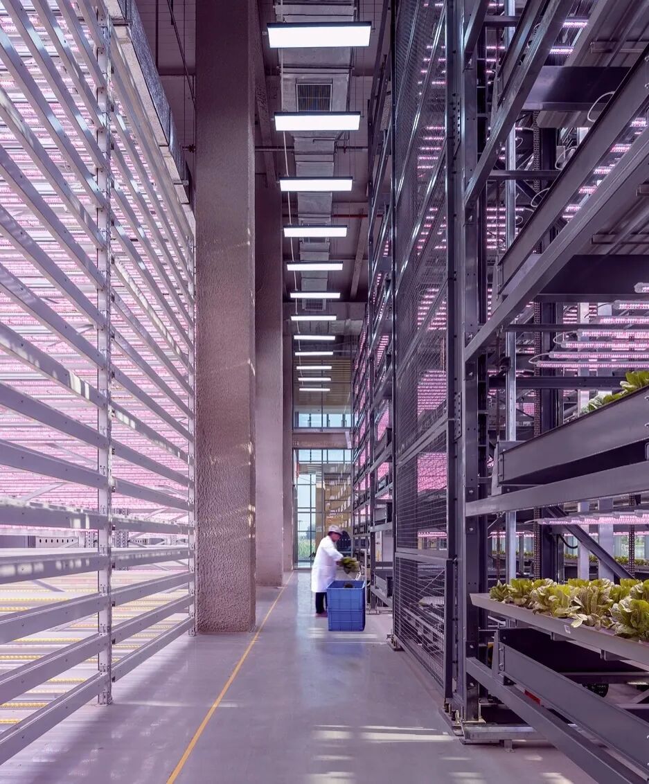 vanBergenKolpa在衡水打造水晶宫农场-7