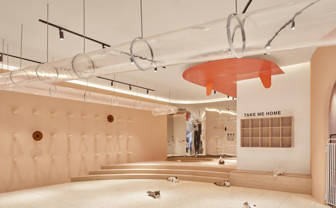 喵星人入侵 · 猫咪共享空间丨中国青岛丨黄士华-11