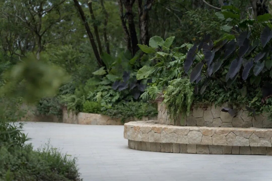 三亚海棠悦府（162）中区景观工程丨中国三亚丨国外Trop团队-13