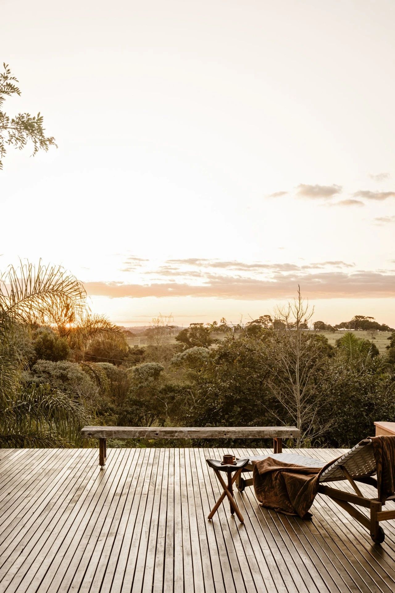 深林之家丨巴西圣保罗丨F.studio-57