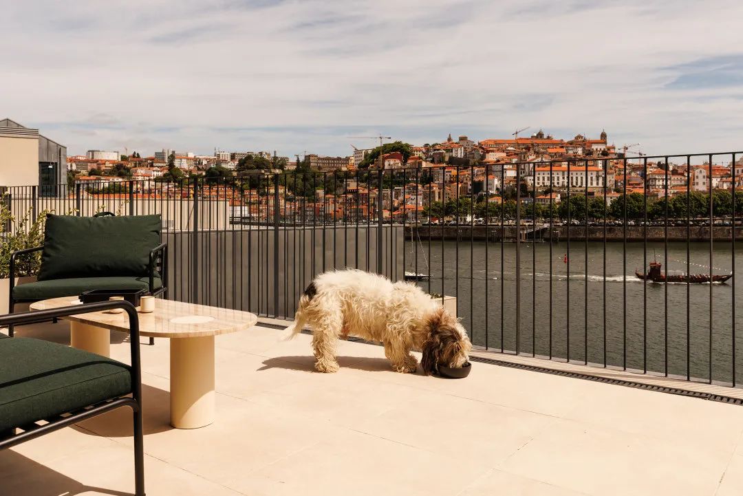 The Rebello 酒店丨葡萄牙杜罗丨里斯本建筑师 Metro Urbe-8