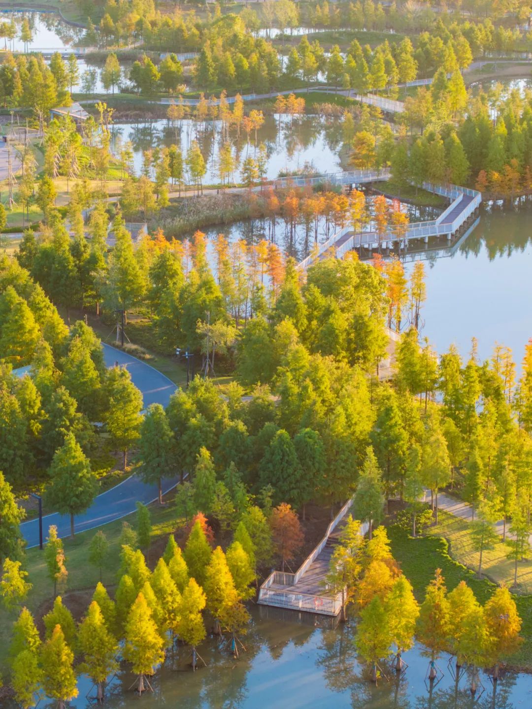 上海碧云绿地丨中国上海丨AECOM-28