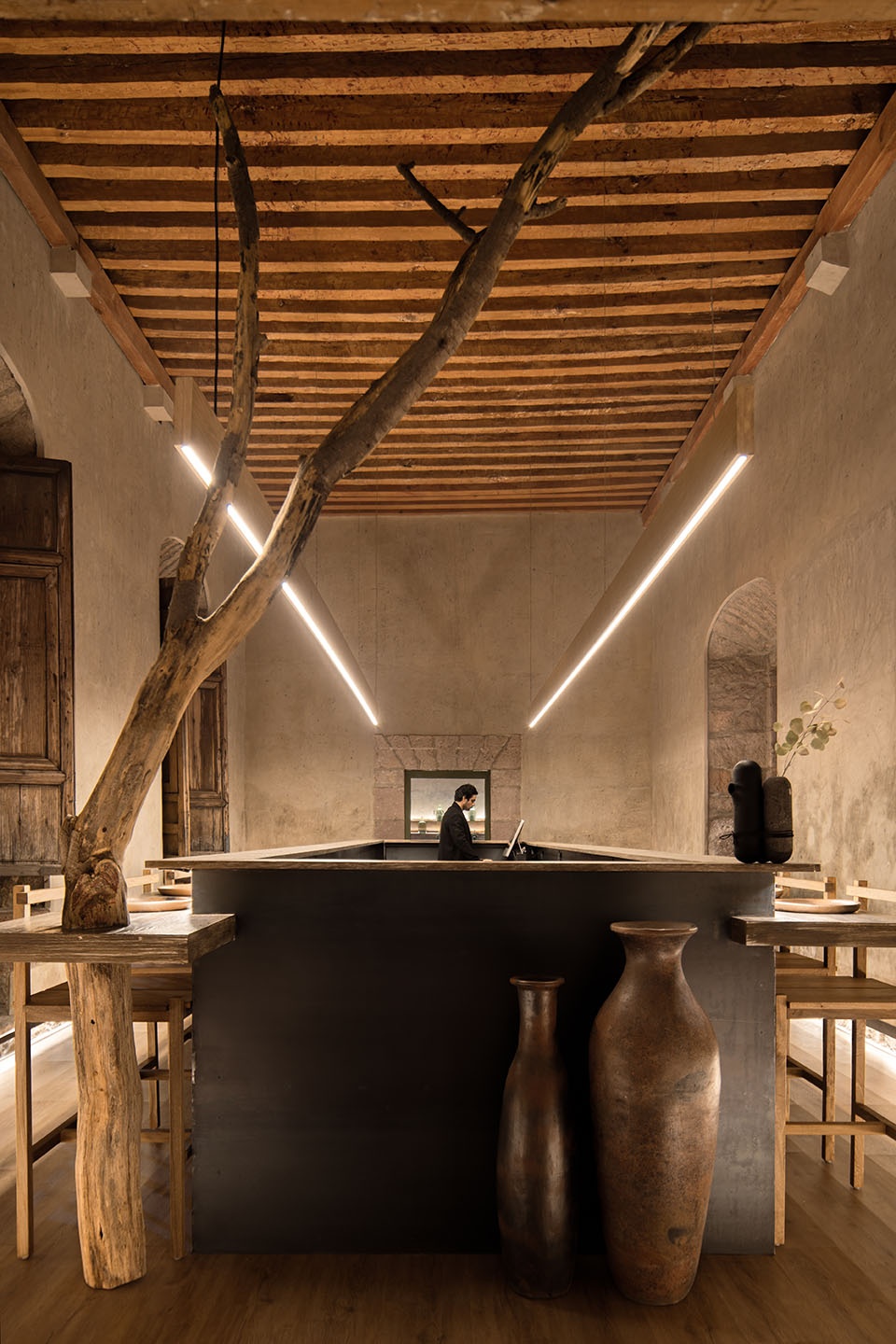 墨西哥莫雷利亚市 Josafat Zalapa 餐厅丨FMA-21