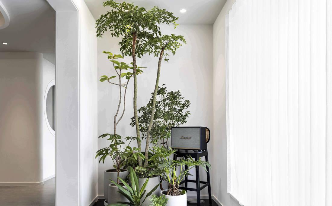 196㎡混搭风浪漫艺术空间-9