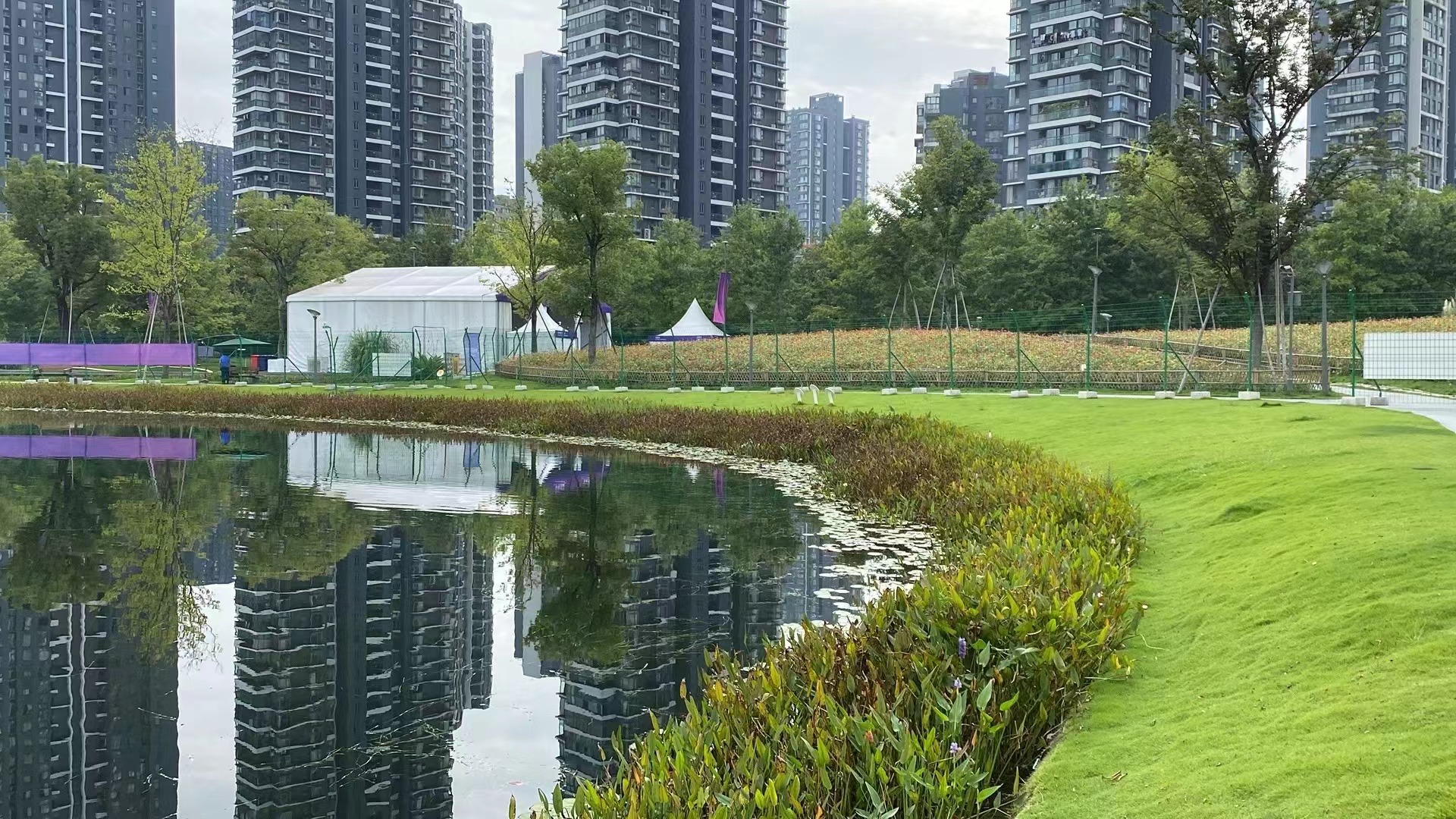 运河亚运公园 (拱墅区运河体育公园)丨中国杭州丨景观概念AECOM,景观深化杭州园林设计院等多家-46