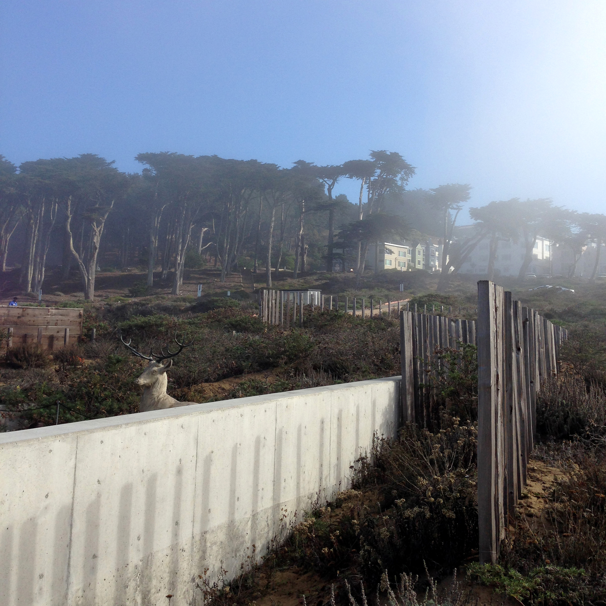 地极看丨中国金山丨Surfacedesign,Inc-5