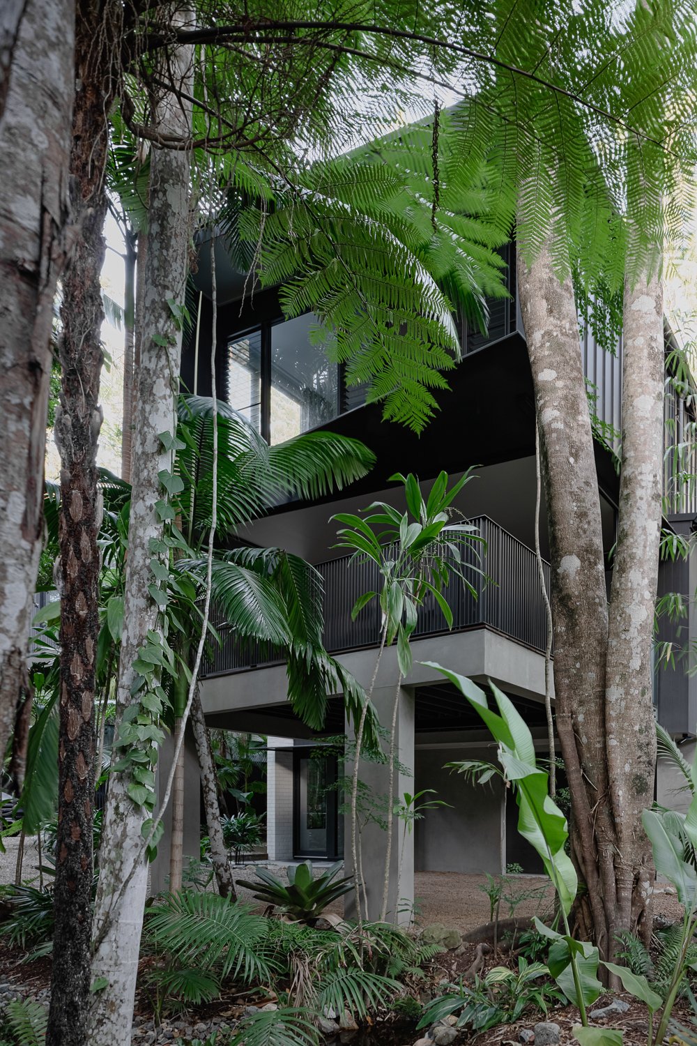 雨树,雨林别墅丨澳大利亚丨Void Building Design-4