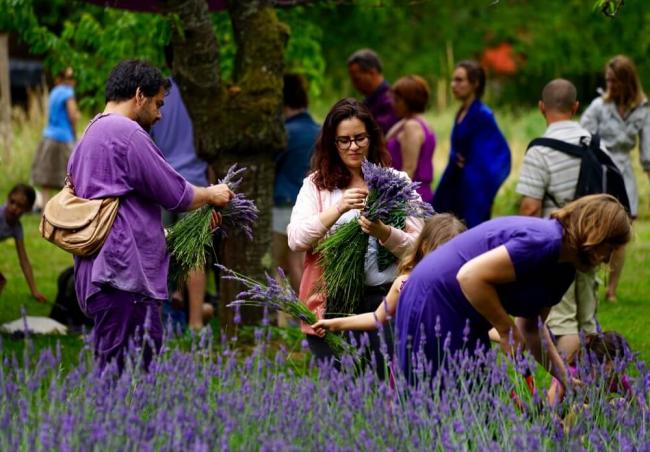 国际景观艺术中心“绿色箭头”之黄色磨坊花园丨法国巴黎丨斯拉瓦·波卢宁-32