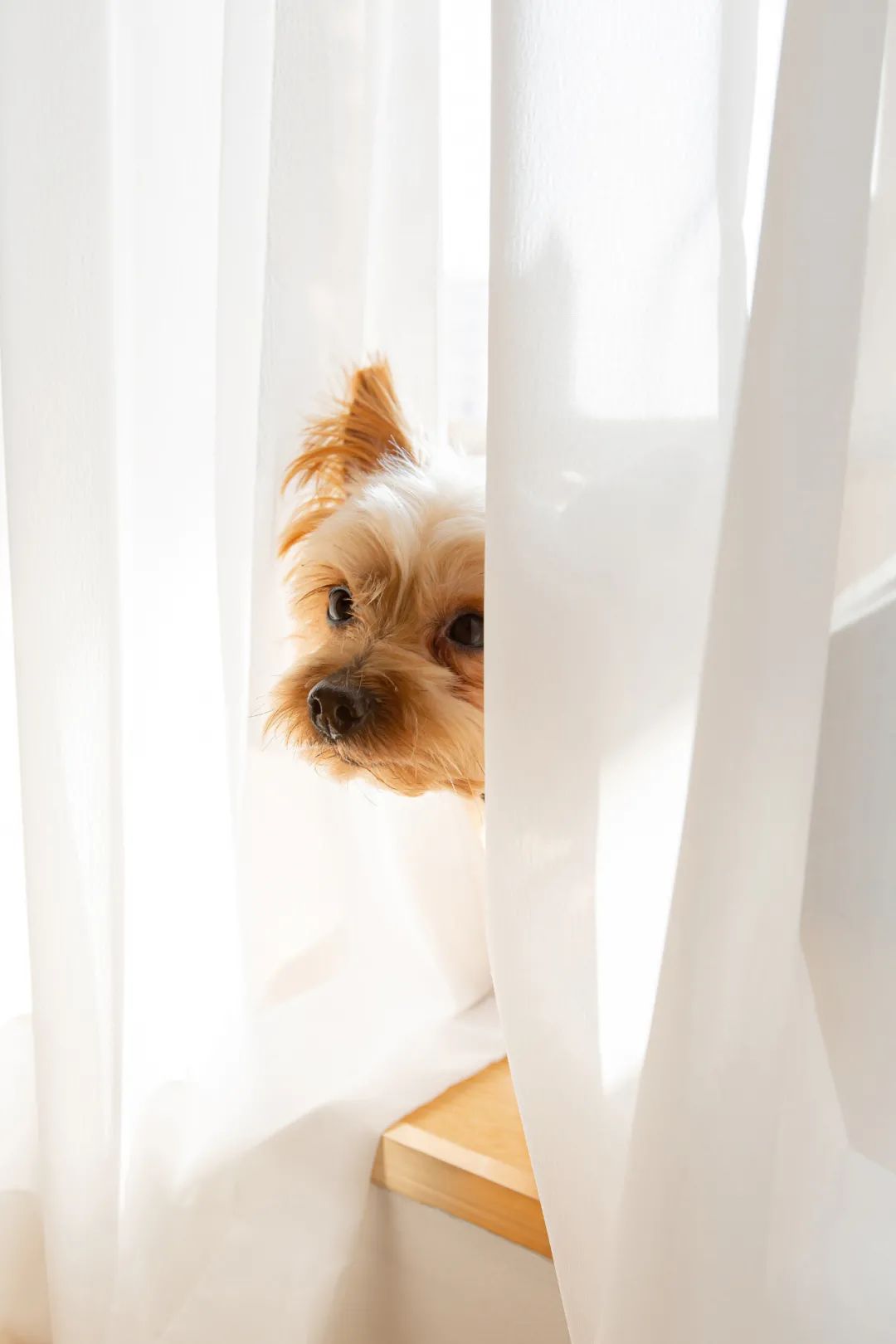 苏杭之星 170m² 极简主义住宅设计丨中国苏州丨不止设计-23