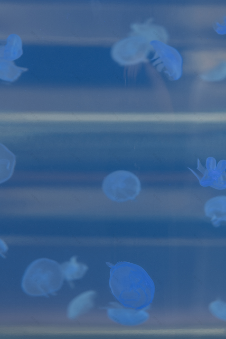 广州中海·观雲府丨中国广州丨ENJOYDESIGN-16