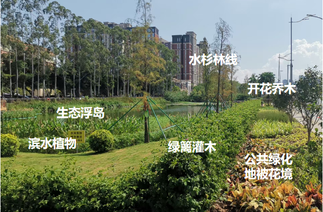 设计大师走进校园，共话凤凰大道调蓄塘ESG实践：打造城市“水心脏”防汛新标杆-24