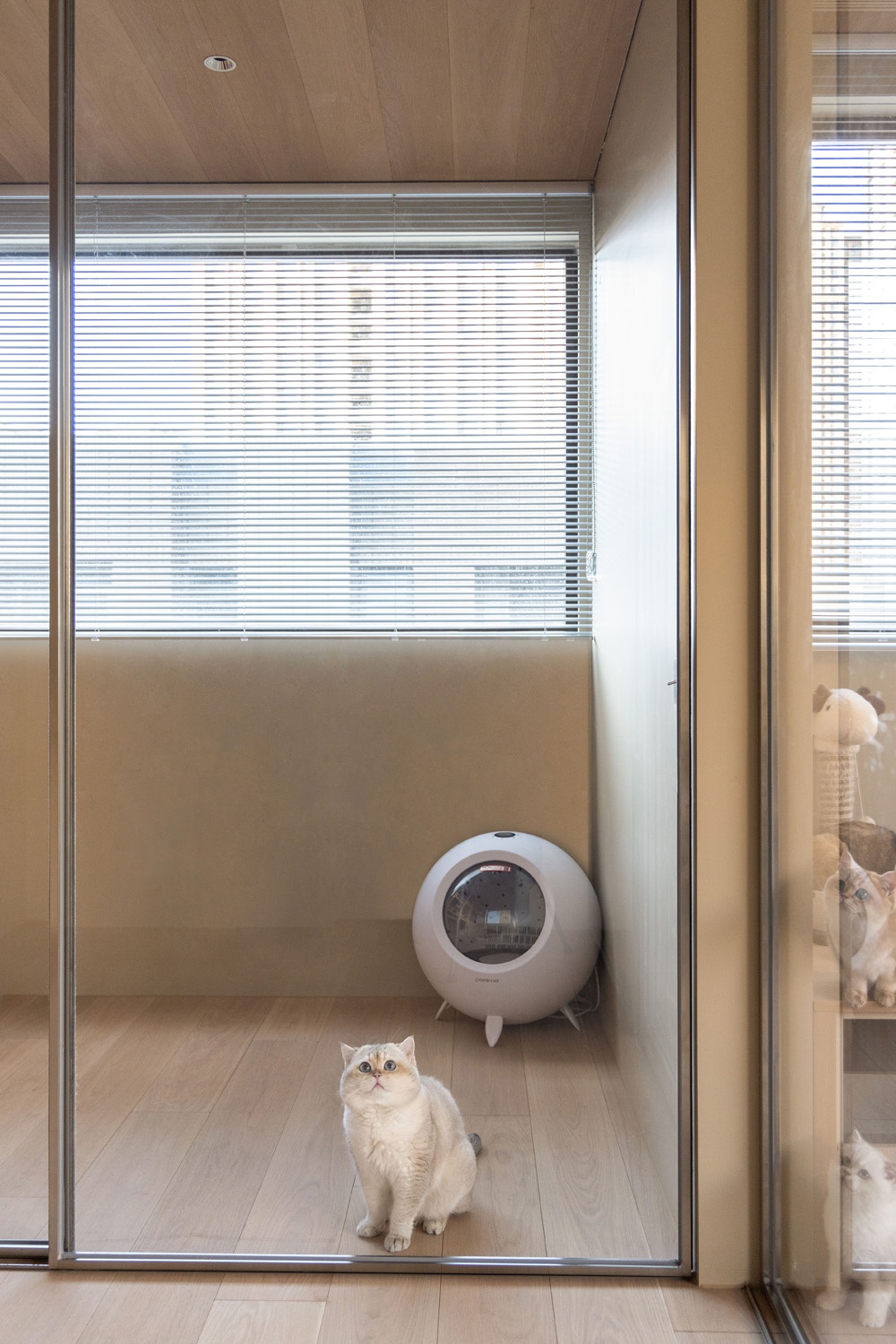 光与木之家丨中国北京-138