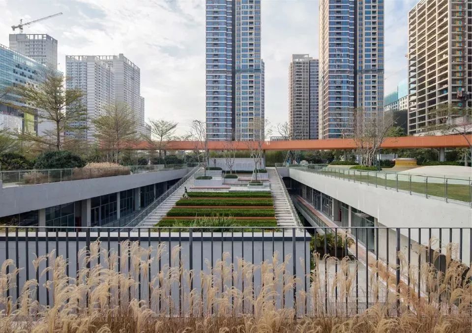 创意园区设计公社，在屋顶公共绿地与地下办公空间之间寻找平衡-0